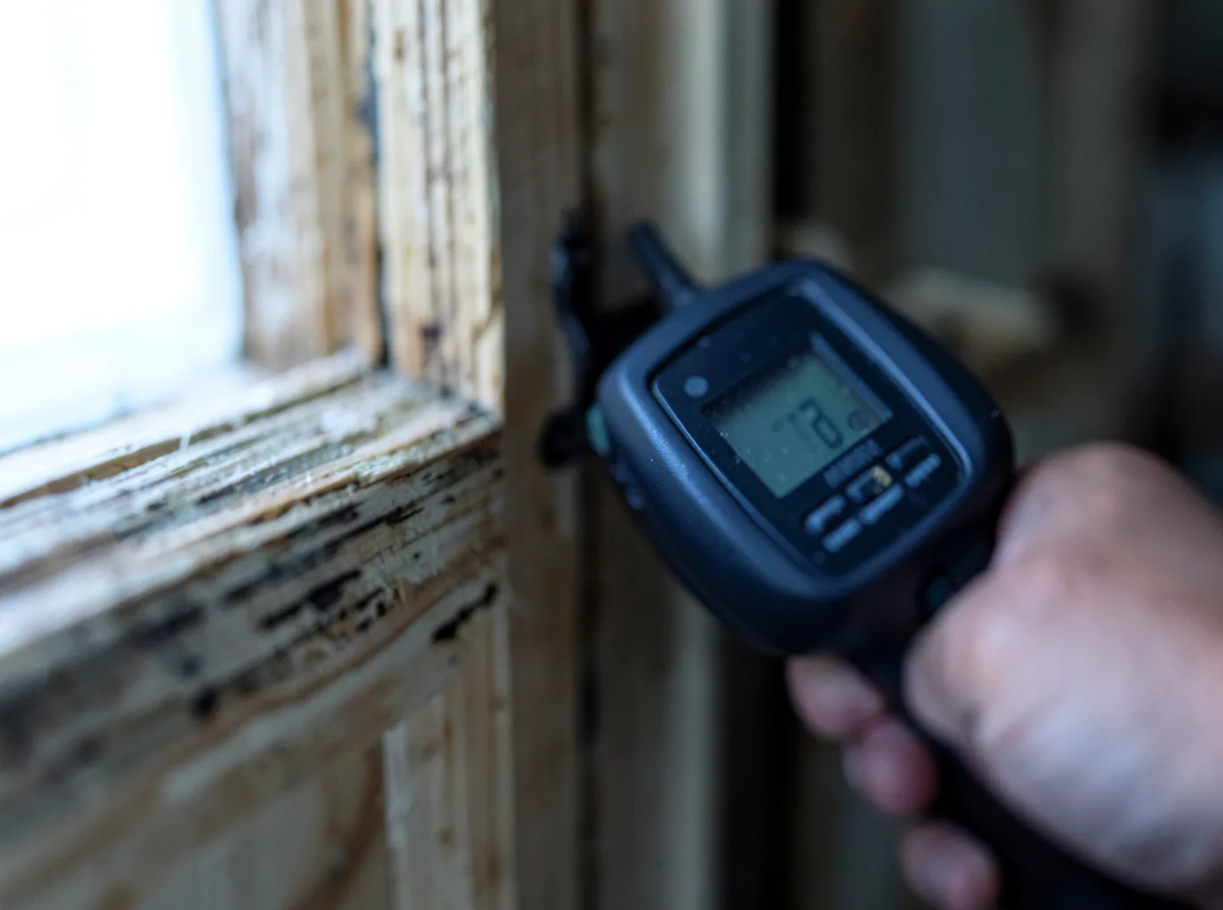 Moisture Inspection And Documentation in Tome, NM